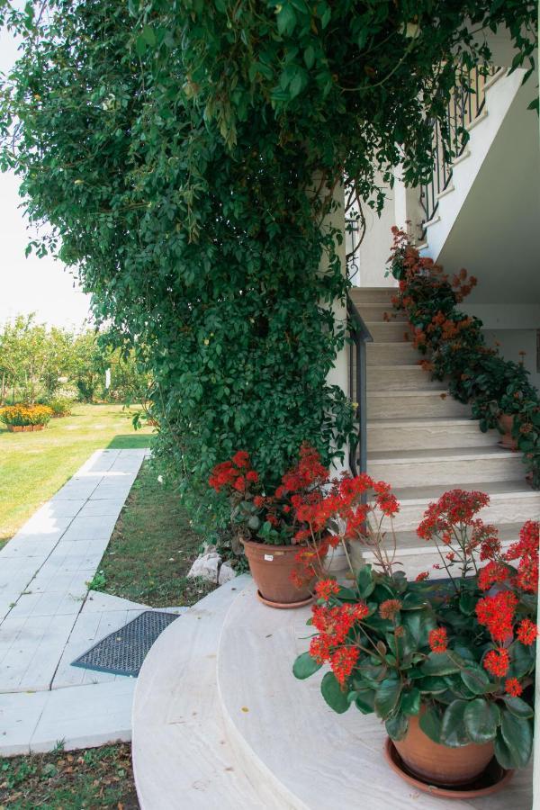 Luce Di Sole Apartment Ulcinj Exteriör bild